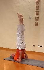 sarvangasana